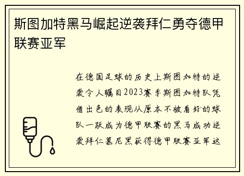 斯图加特黑马崛起逆袭拜仁勇夺德甲联赛亚军 斯图加特黑马崛起逆袭拜仁勇夺德甲联赛亚军